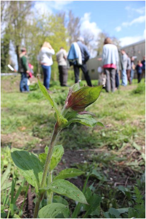 Wildlife Garden Tour